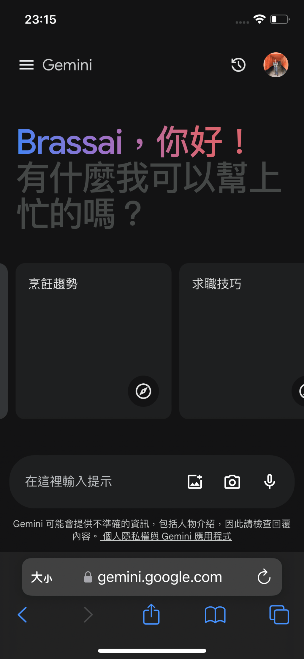 Google Gemini 介紹及試用